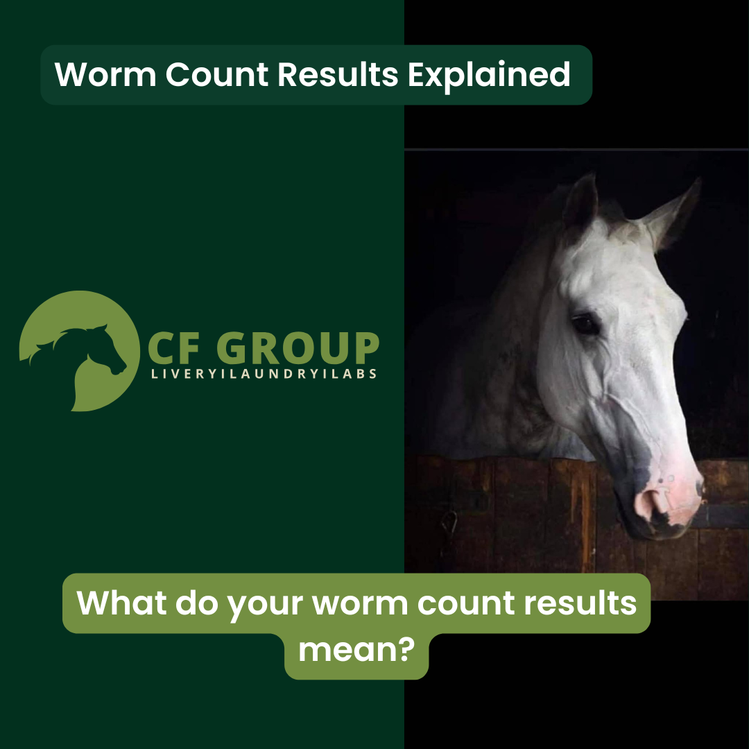 Your Worm Egg Count Results Explained