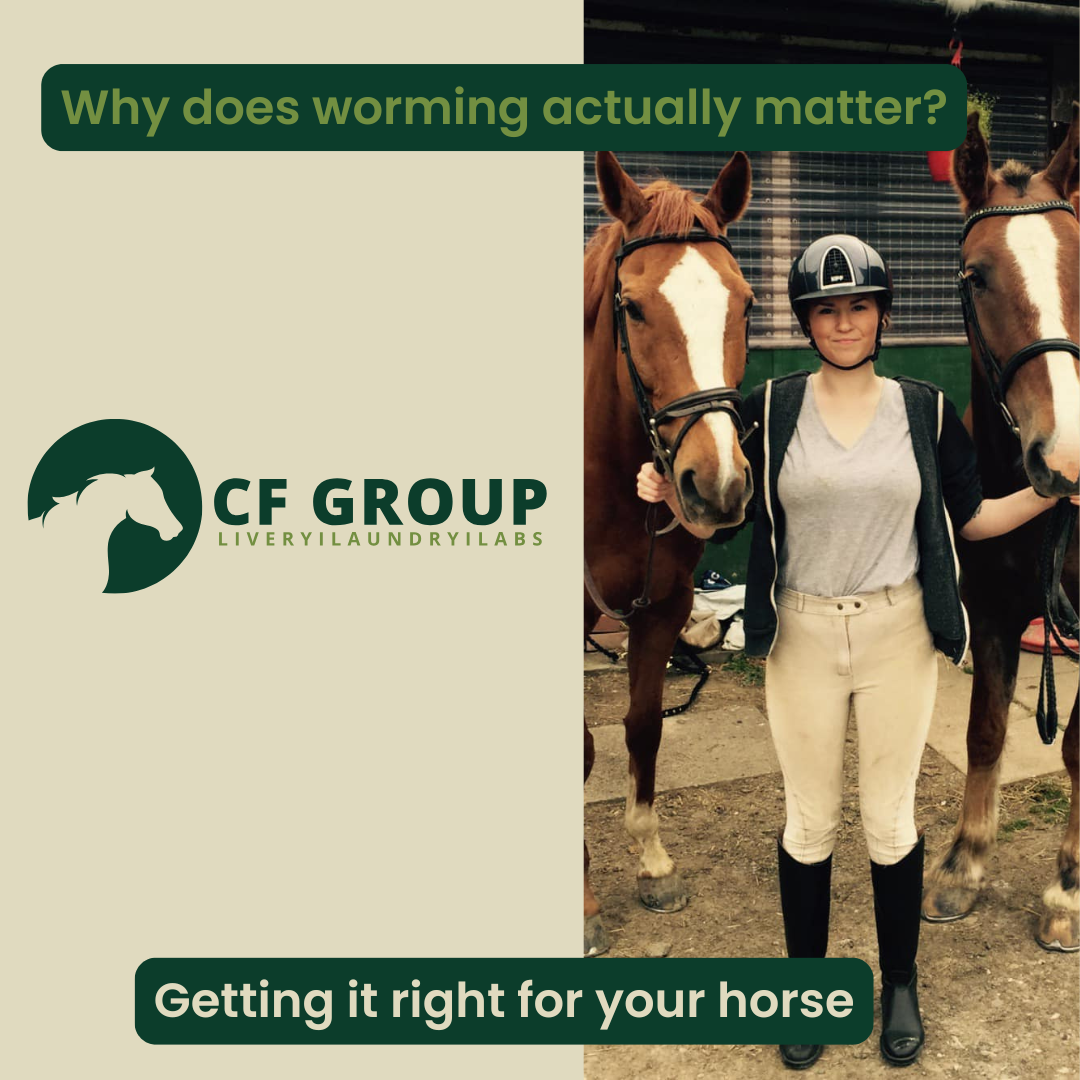 Why Correct Worming Matters: Getting It Right for Your Horse