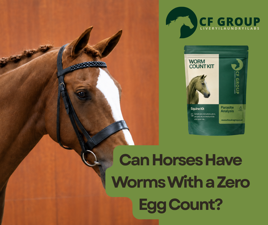 Can Horses Have Worms With a Zero Egg Count?