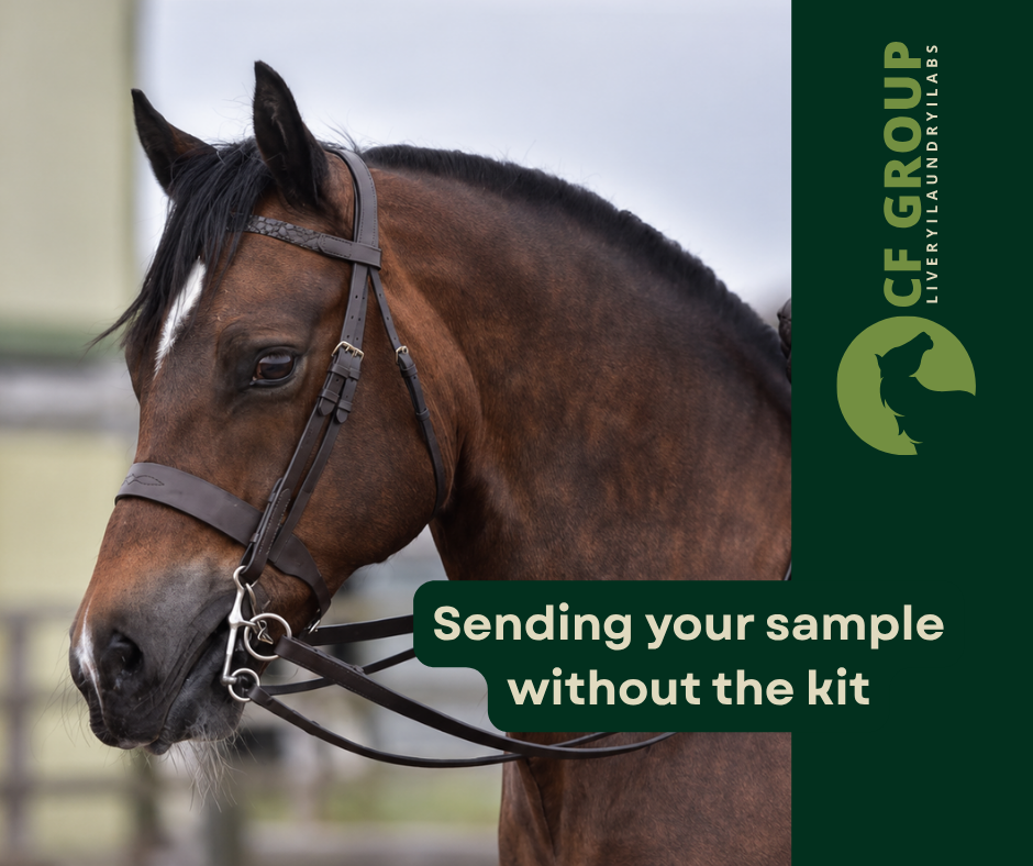 How to Take a Horse Worm Count Sample Without a Kit